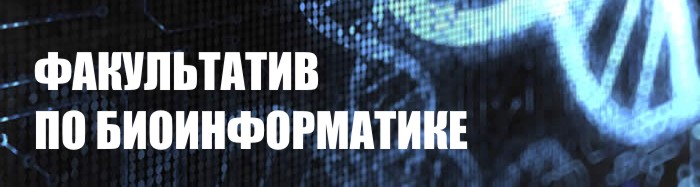 titlebar